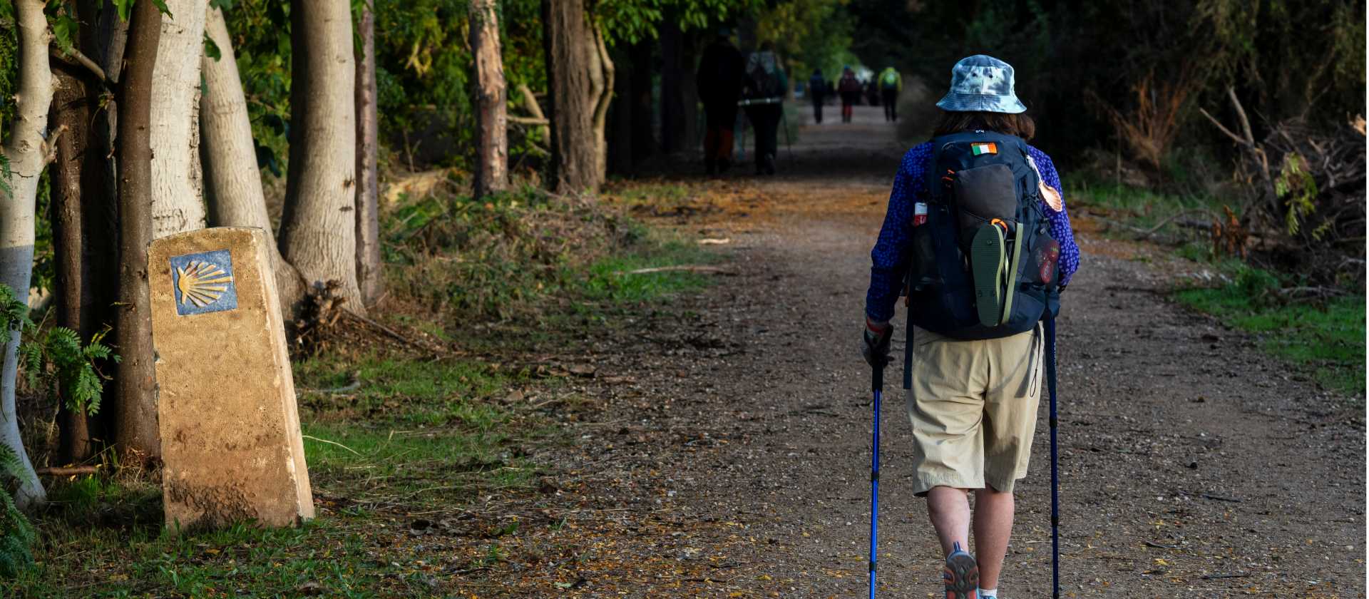 Walking the Camino trail