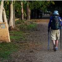 Walking the Camino trail