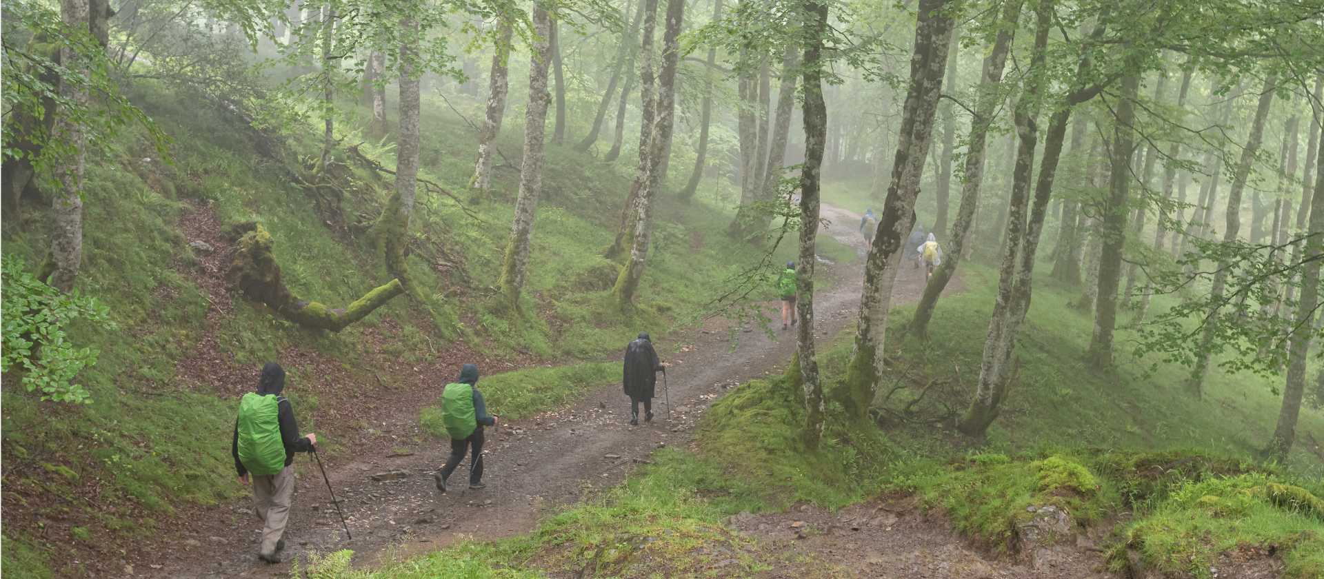 Walking through the mist to Roncesvalles on the Camino