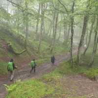 Walking through the mist to Roncesvalles on the Camino