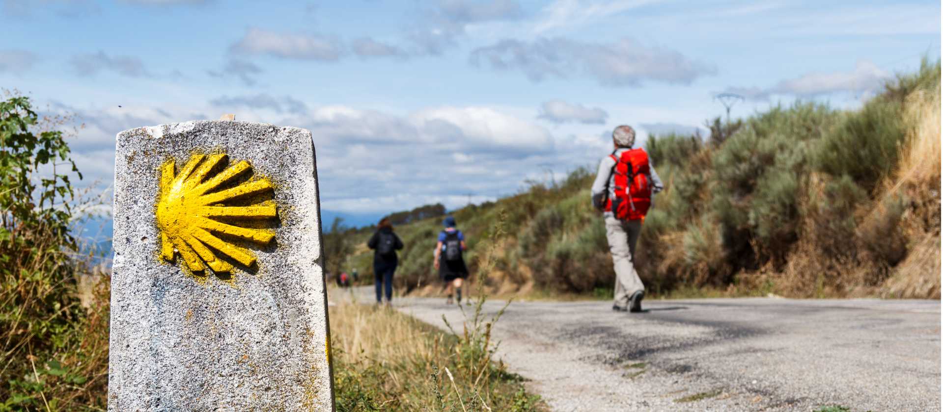Follow the yellow shells on the Spanish Camino