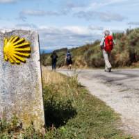 Follow the yellow shells on the Spanish Camino