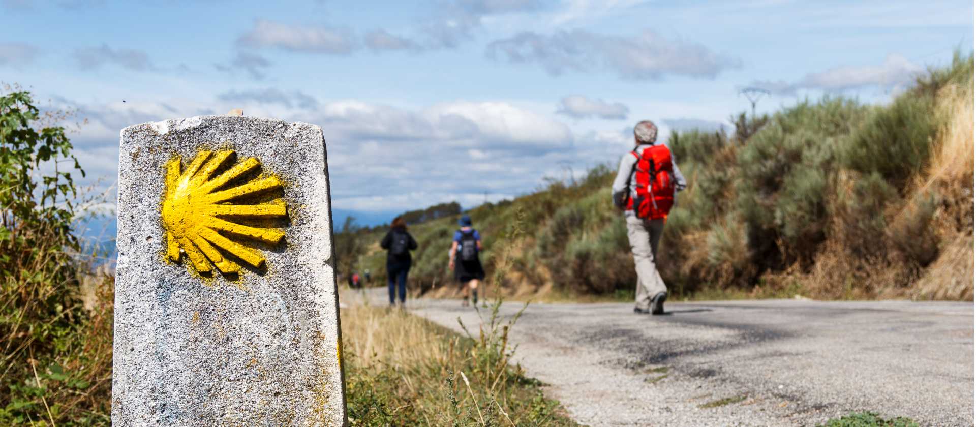 Follow the yellow shells on the Spanish Camino