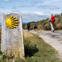 Follow the yellow shells on the Spanish Camino
