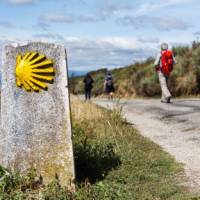 Follow the yellow shells on the Spanish Camino