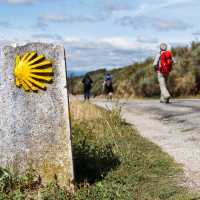 Follow the yellow shells on the Spanish Camino