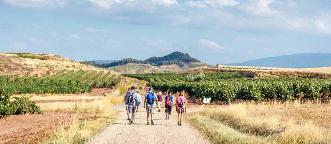 Experience the Camino de Santiago with an expert guide and small group