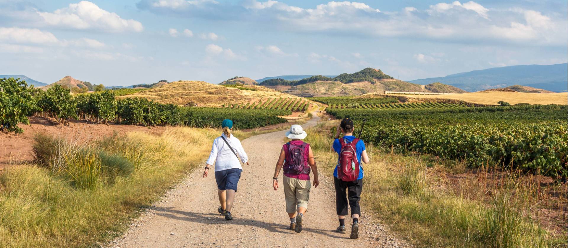 Enjoying walking the Camino de Santiago