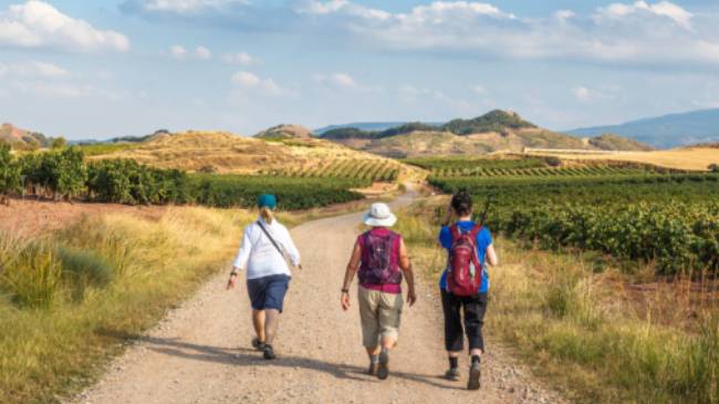 Enjoying walking the Camino de Santiago