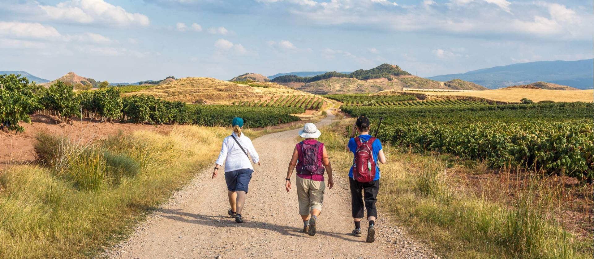Enjoying walking the Camino de Santiago