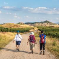 Enjoying walking the Camino de Santiago