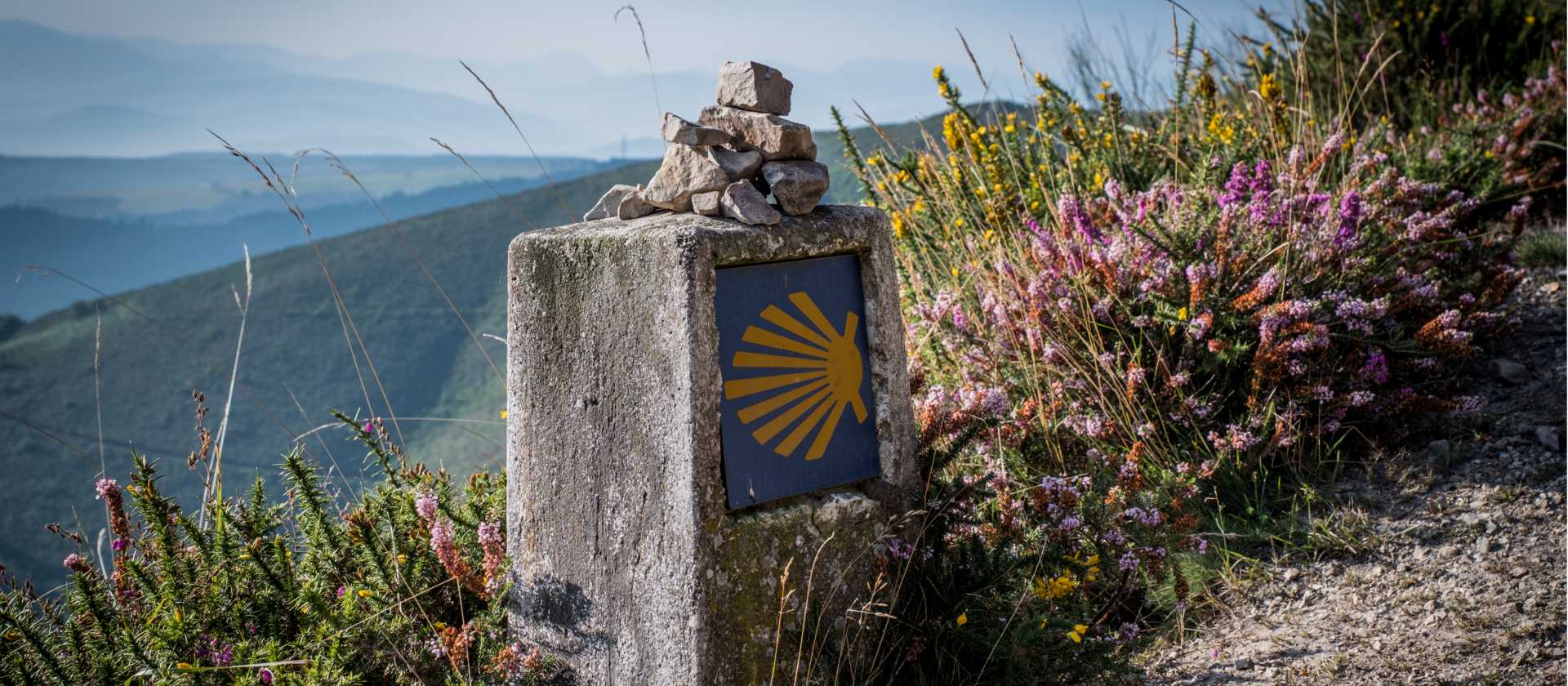 Camino shell sign among flowers