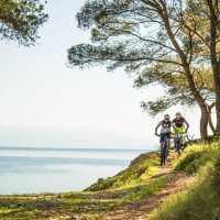 Mountain bike trails