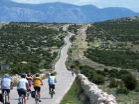 Cyclists on the island of Pag