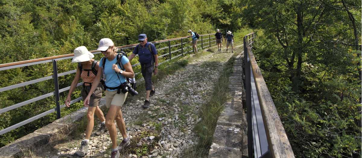 Hiking along the remains of the old Parenzana railway tracks