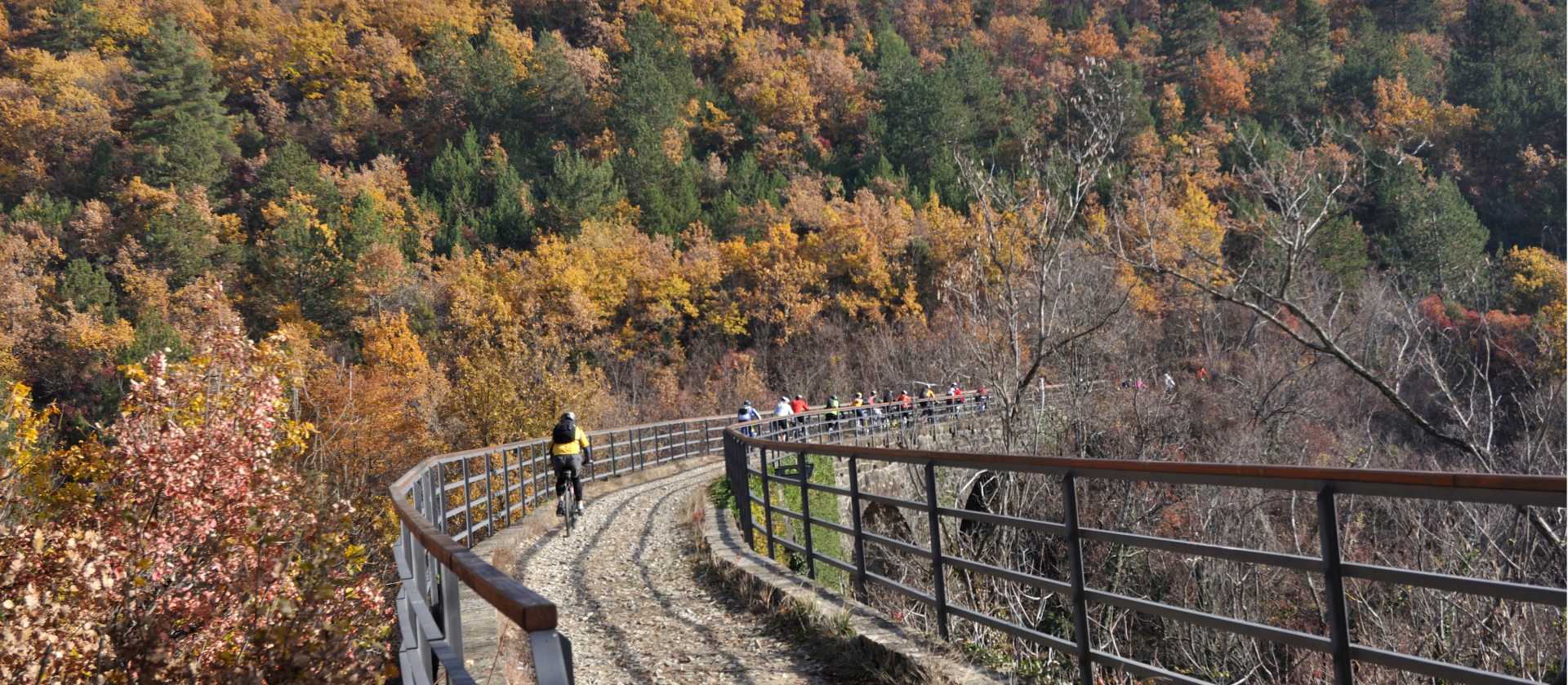 Cycling the Parenzana Rail Trail