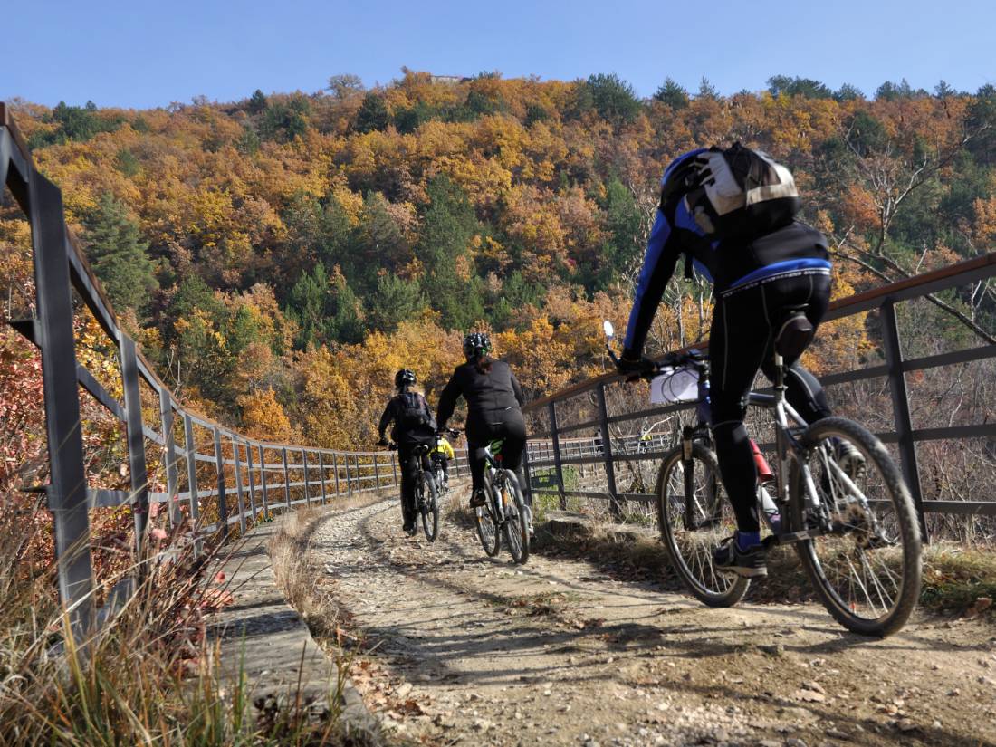 Cycling the Parenzana Rail Trail