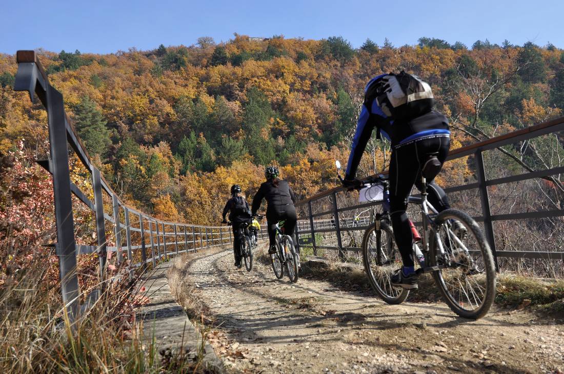 Cycling the Parenzana Rail Trail