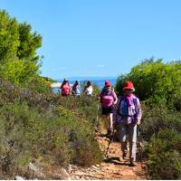 Hiking in Brijuni National Park, Istria