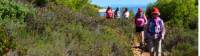 Hiking in Brijuni National Park, Istria