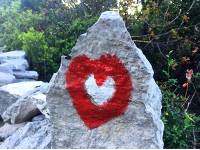 Unique trail markings in Istria