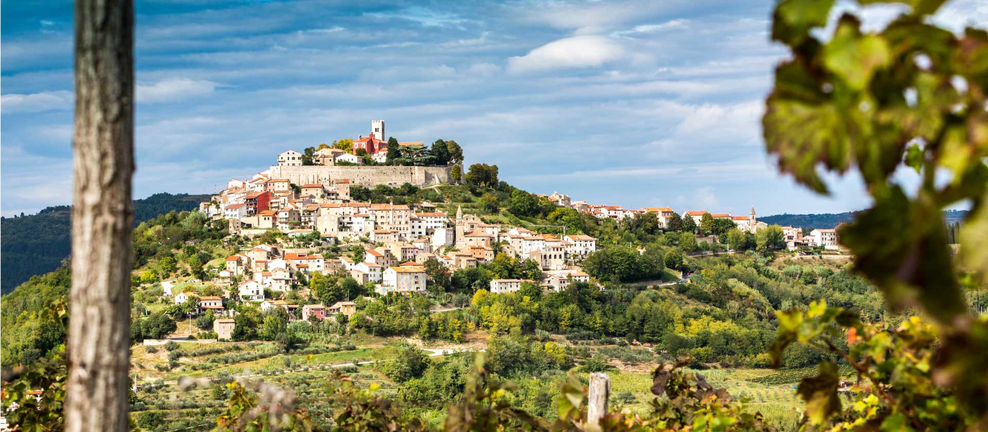 The hilltop town of Motovun in Istria, Croatia