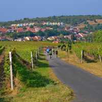 Cycling the quiet roads of the Czech Republic