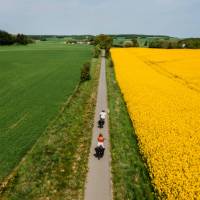 Marvel at the colours of Denmark's countryside. | Sarah Green