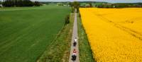 Marvel at the colours of Denmark's countryside. | Sarah Green