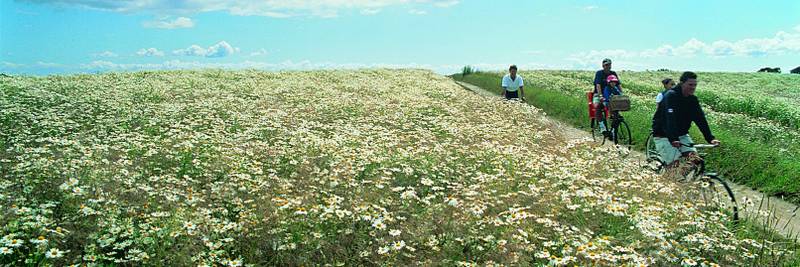 mountain bike tours denmark