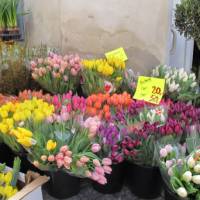 Flower stall in Copenhagen | Kate Baker