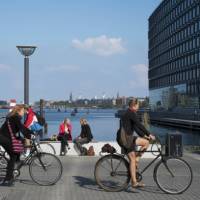 Cyclists in Copenhaven