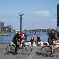 Cyclists in Copenhaven