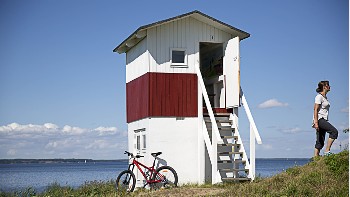 mountain bike tours denmark