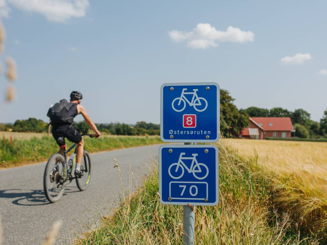 Following bike routes in Denmark |  <i>Michael Fiukowski & Sarah Moritz</i>