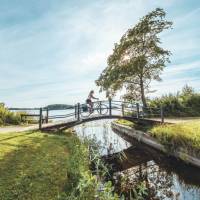 Woman cycling on a scenic wooden bridge in Denmark. | Daniel Villadsen