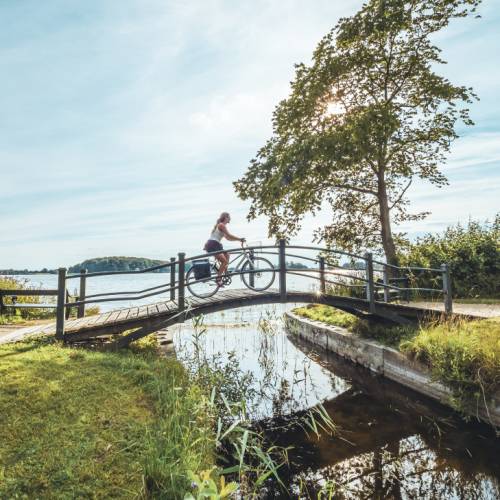 Woman cycling on a scenic wooden bridge in Denmark.