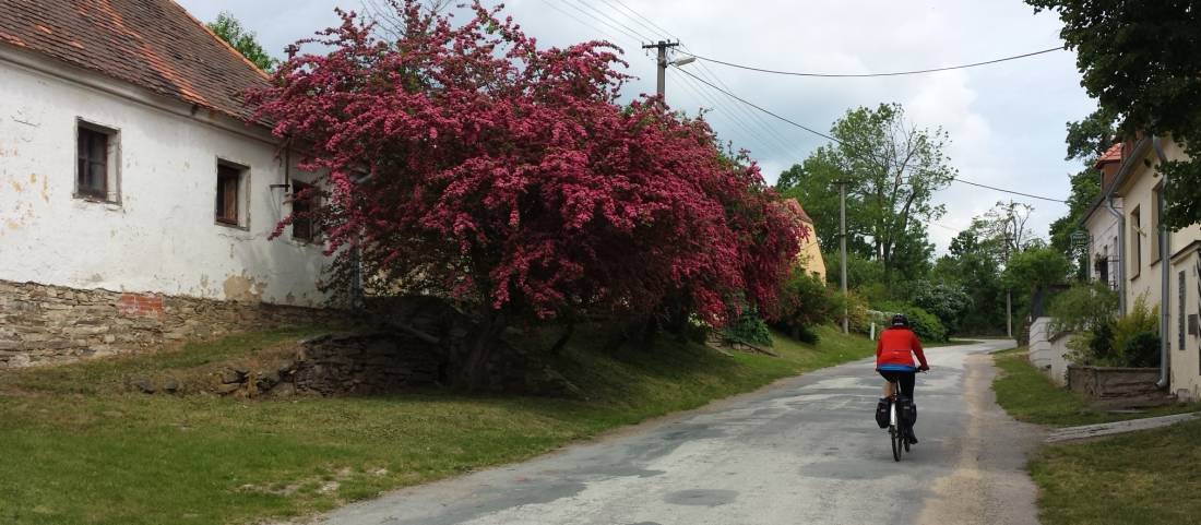 Cycling through small villages in the Czech Republic |  <i>John Dennett</i>