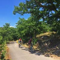 Beautiful countryside on the way from Prague to Vienna | Els van Veelan