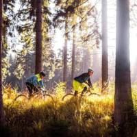 Exploring a Czech forest by bike | Petr Slavík