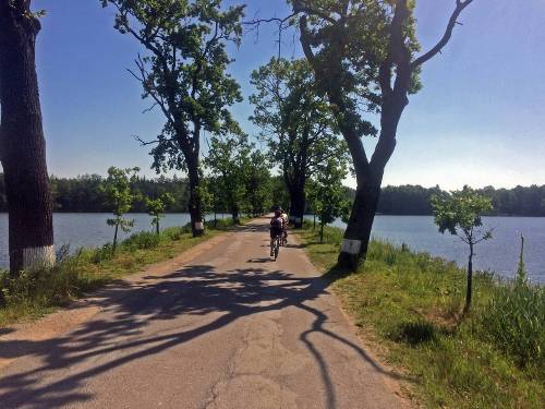 A stunning bike path between the lakes&#160;-&#160;<i>Photo:&#160;Els van Veelen</i>