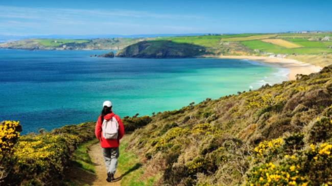 Walking the Salt Path, or South West Coast Path, in England | Roy Curtis