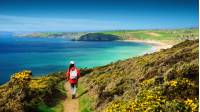 Walking the Salt Path, or South West Coast Path, in England |  <i>Roy Curtis</i>