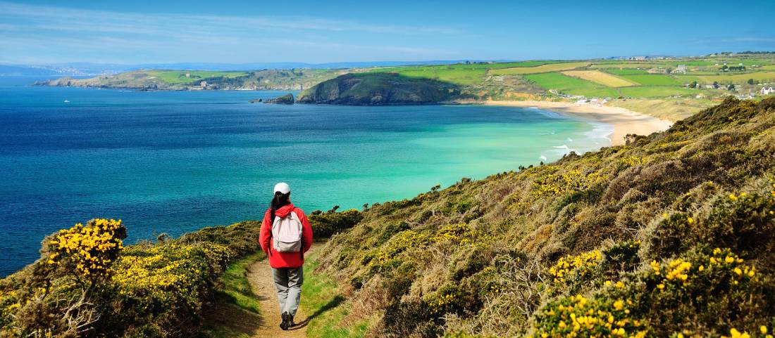 Walking the Salt Path, or South West Coast Path, in England |  <i>Roy Curtis</i>