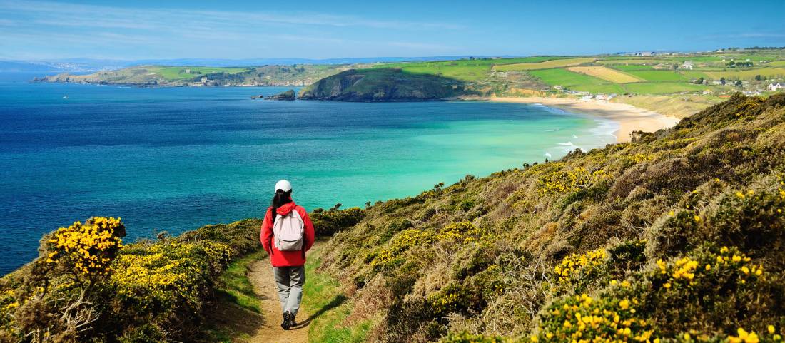 Walking the Salt Path, or South West Coast Path, in England |  <i>Roy Curtis</i>