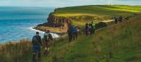 Beginning the Coast to Coast walk along the green cliffs of England | Tim Charody