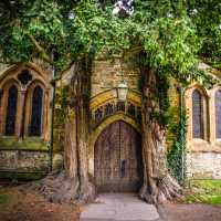 When nature and architecture combine | Tim Charody