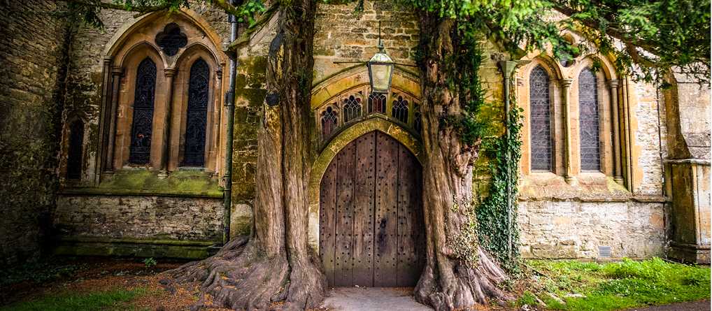 When nature and architecture combine | Tim Charody