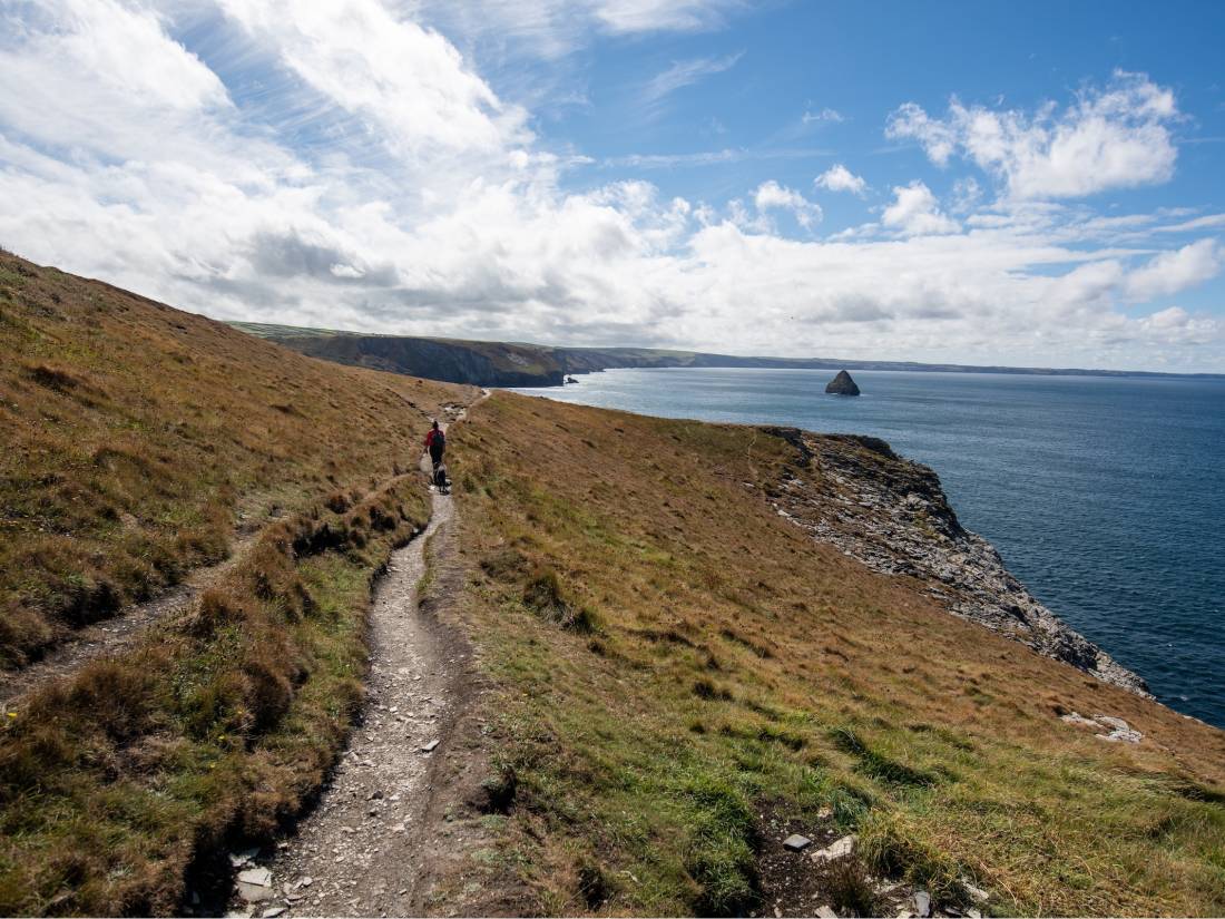 Hiking the Salt Path in England |  <i>Crispin Jones</i>