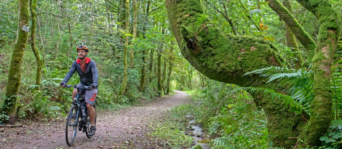 Cycling the magical paths of Rowrah along the Coast to Coast in England |  <i>Andrew Bain</i>